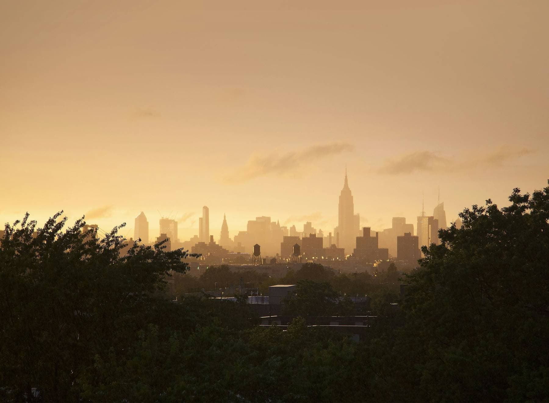 City skyline at sunrise, seen through trees